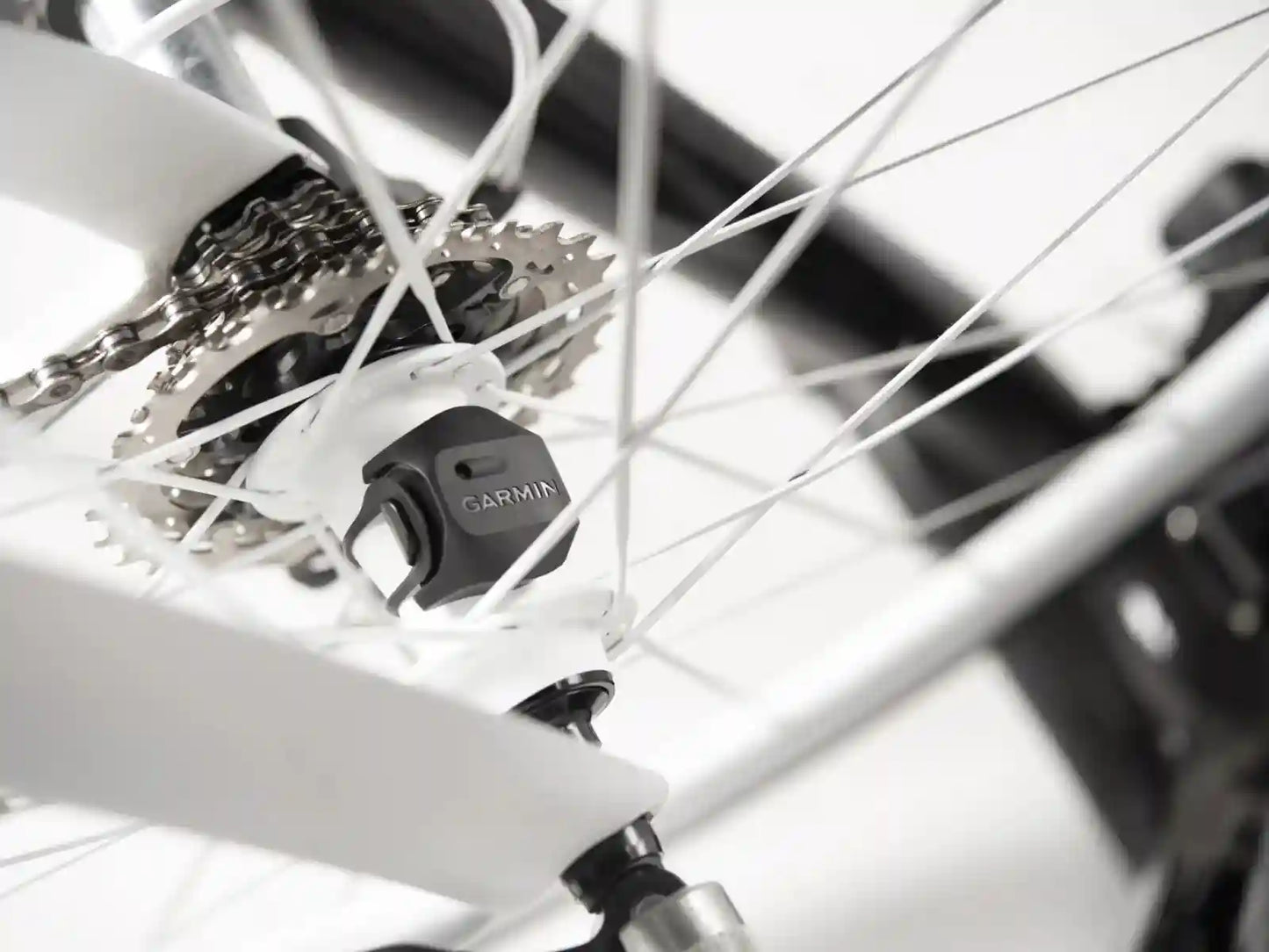 Capteur de vitesse Garmin 2