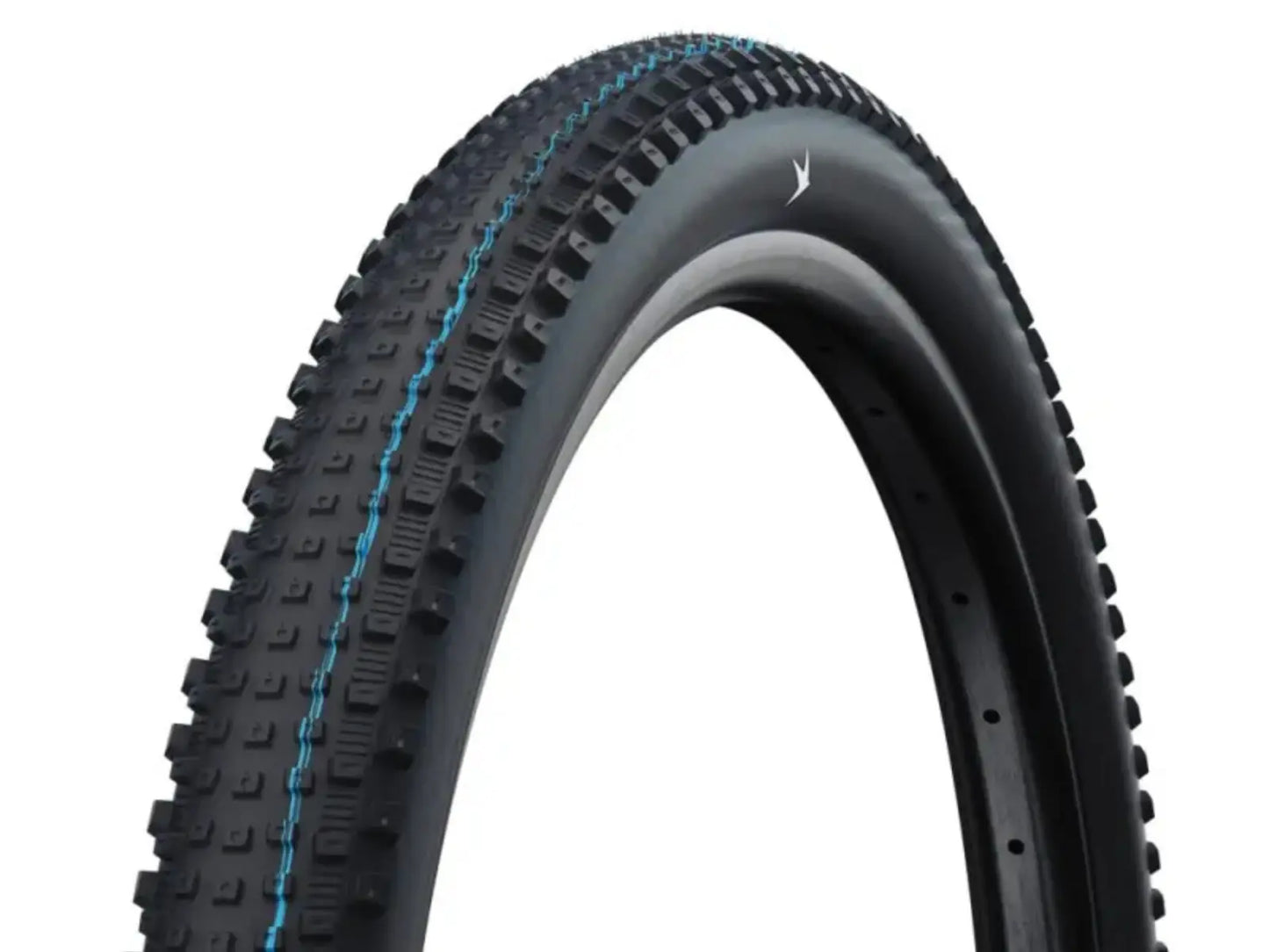 Schwalbe Rick XC Pro Evo TLR MTB Band 29 inch