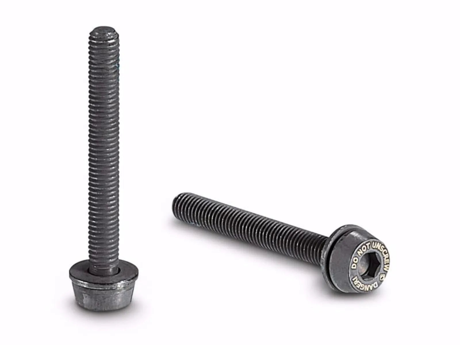 Campagnolo Disc Brake Achterremklauw Bouten