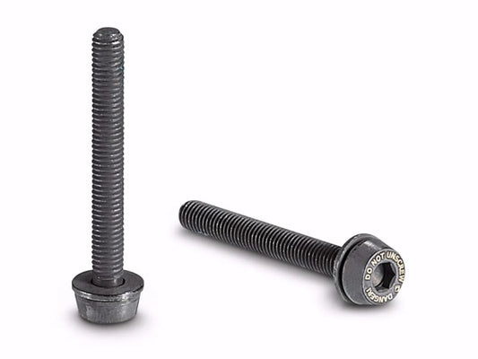 Campagnolo Disc Brake Achterremklauw Bouten