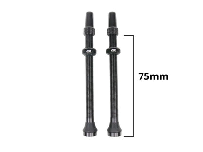 QUASAR Tubeless Ventielen
